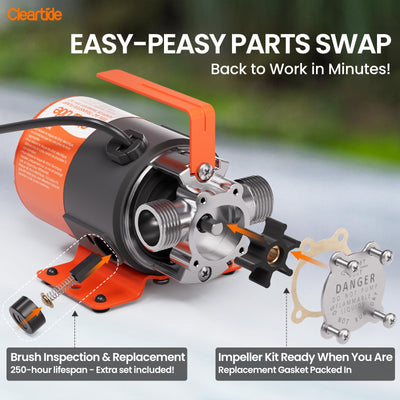 12V DC / 115V AC Mini Portable Transfer Pump